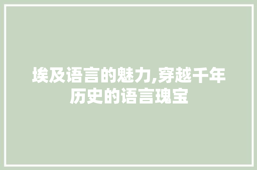 埃及语言的魅力,穿越千年历史的语言瑰宝 建站教程