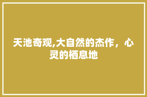天池奇观,大自然的杰作，心灵的栖息地
