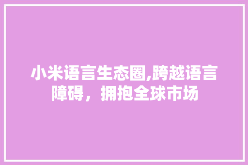 小米语言生态圈,跨越语言障碍，拥抱全球市场