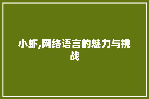 小虾,网络语言的魅力与挑战