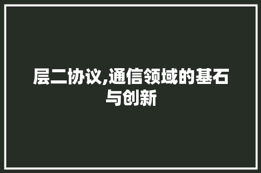 层二协议,通信领域的基石与创新