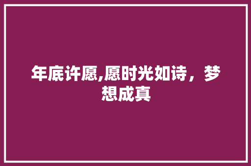 年底许愿,愿时光如诗，梦想成真