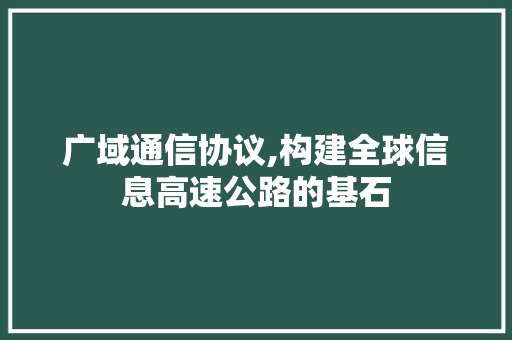 广域通信协议,构建全球信息高速公路的基石 服务器/数据库