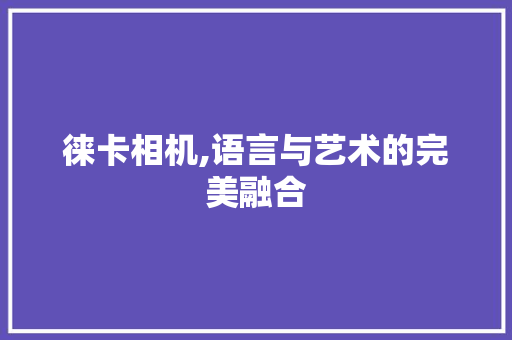 徕卡相机,语言与艺术的完美融合