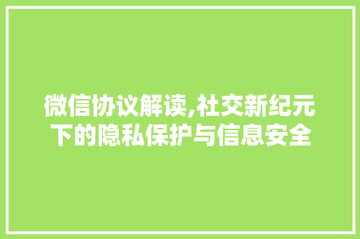 微信协议解读,社交新纪元下的隐私保护与信息安全