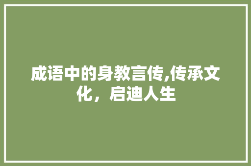 成语中的身教言传,传承文化，启迪人生 SEO教程