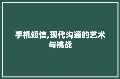 手机短信,现代沟通的艺术与挑战