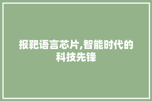 报靶语言芯片,智能时代的科技先锋