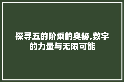 探寻五的阶乘的奥秘,数字的力量与无限可能