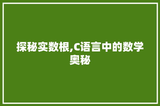 探秘实数根,C语言中的数学奥秘