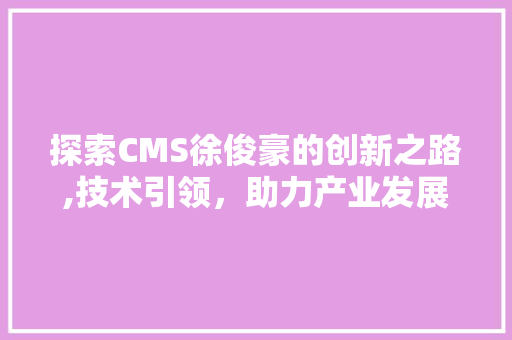 探索CMS徐俊豪的创新之路,技术引领，助力产业发展