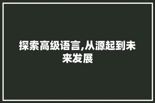 探索高级语言,从源起到未来发展