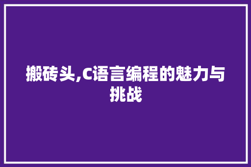 搬砖头,C语言编程的魅力与挑战 建站教程