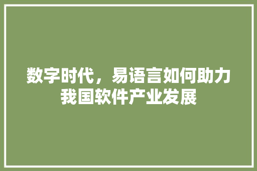 数字时代，易语言如何助力我国软件产业发展 建站教程