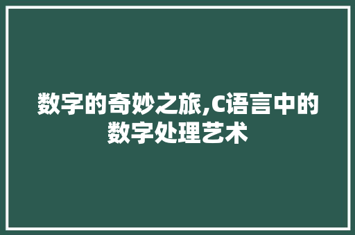 数字的奇妙之旅,C语言中的数字处理艺术