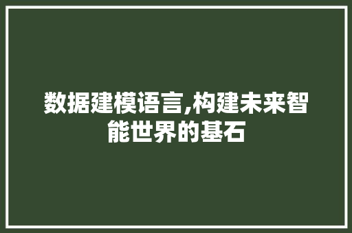 数据建模语言,构建未来智能世界的基石 WordPress教程
