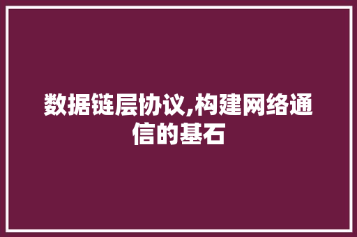 数据链层协议,构建网络通信的基石 WordPress教程
