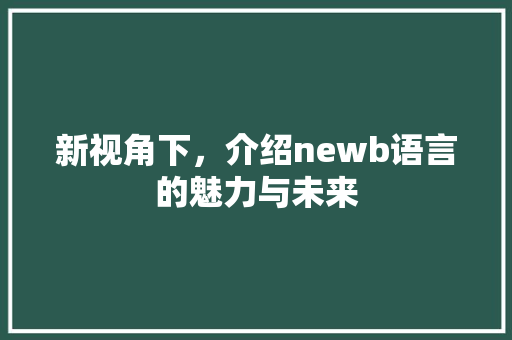 新视角下，介绍newb语言的魅力与未来 服务器/数据库