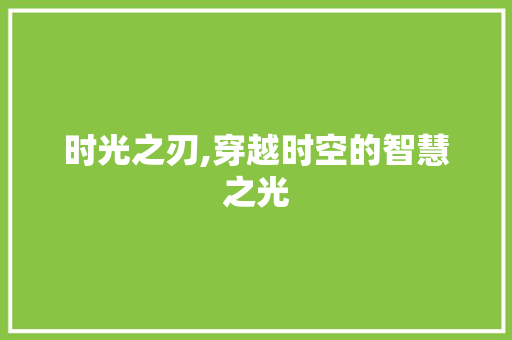 时光之刃,穿越时空的智慧之光
