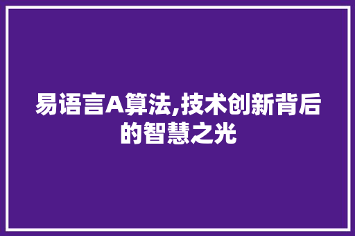 易语言A算法,技术创新背后的智慧之光