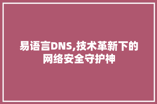 易语言DNS,技术革新下的网络安全守护神 友链在线