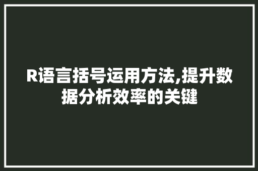 R语言括号运用方法,提升数据分析效率的关键