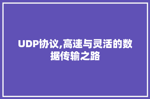 UDP协议,高速与灵活的数据传输之路