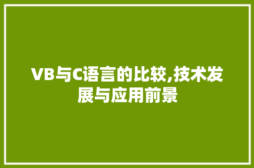 VB与C语言的比较,技术发展与应用前景