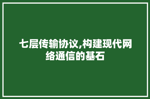七层传输协议,构建现代网络通信的基石