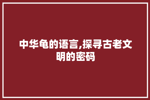 中华龟的语言,探寻古老文明的密码 服务器/数据库