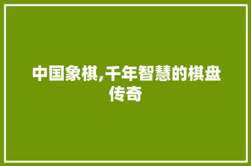 中国象棋,千年智慧的棋盘传奇