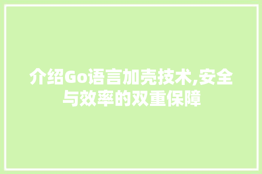 介绍Go语言加壳技术,安全与效率的双重保障