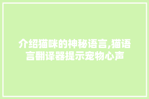 介绍猫咪的神秘语言,猫语言翻译器提示宠物心声