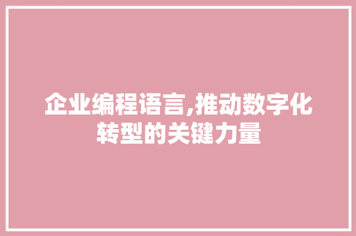 企业编程语言,推动数字化转型的关键力量
