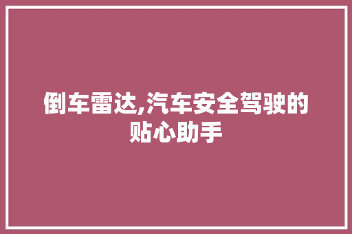 倒车雷达,汽车安全驾驶的贴心助手 倒车雷达,汽车安全驾驶的贴心助手