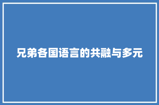 兄弟各国语言的共融与多元