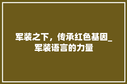 军装之下，传承红色基因_军装语言的力量