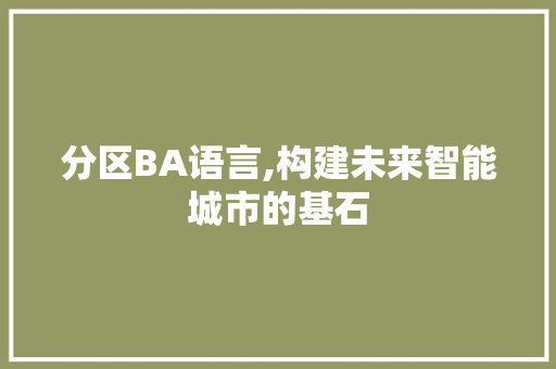 分区BA语言,构建未来智能城市的基石