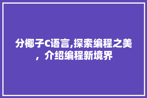 分椰子C语言,探索编程之美，介绍编程新境界 SEO教程