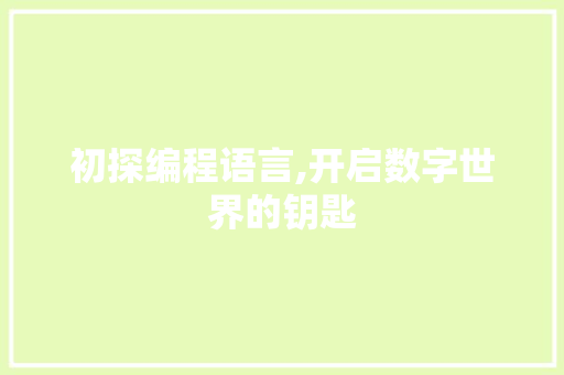 初探编程语言,开启数字世界的钥匙