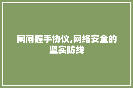 网闸握手协议,网络安全的坚实防线