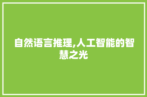 自然语言推理,人工智能的智慧之光