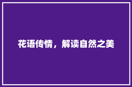 花语传情，解读自然之美 SEO教程