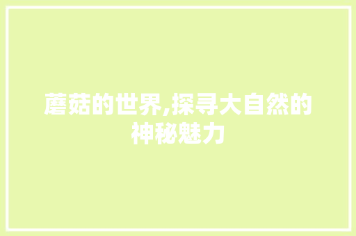 蘑菇的世界,探寻大自然的神秘魅力