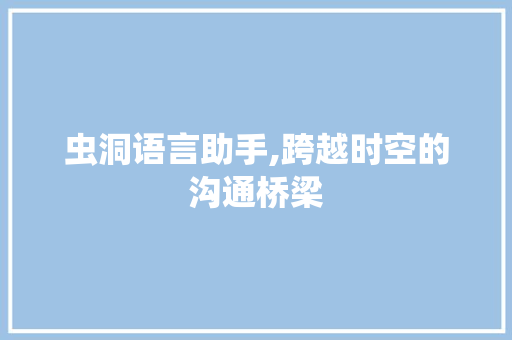 虫洞语言助手,跨越时空的沟通桥梁