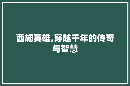 西施英雄,穿越千年的传奇与智慧 建站教程