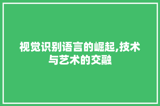 视觉识别语言的崛起,技术与艺术的交融