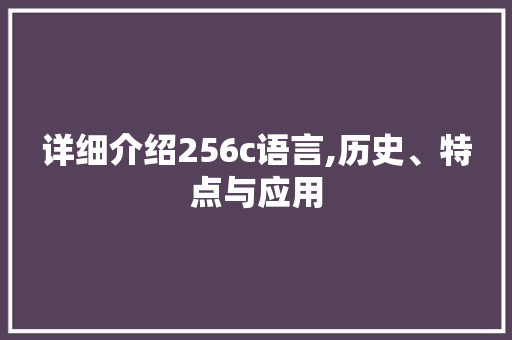 详细介绍256c语言,历史、特点与应用 WordPress教程