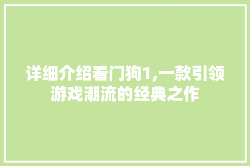 详细介绍看门狗1,一款引领游戏潮流的经典之作