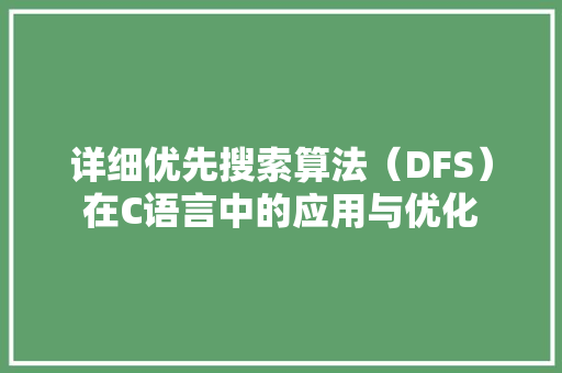 详细优先搜索算法（DFS）在C语言中的应用与优化